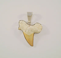 Large Impressive Handcrafted and Signed Vintage Charles Albert Sterling Silver & Fossilized Shark's Tooth Pendant